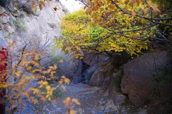 中卫寺口子风景旅游区即日起开始执行淡季门票价格_景区