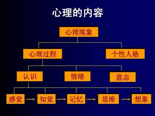 行为|乙肝心理困扰较普遍，自我管理行为显著相关，长期口服药物有影响