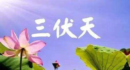 69c3ea936e394a6c9e8dfb162c5d5f6c.jpeg