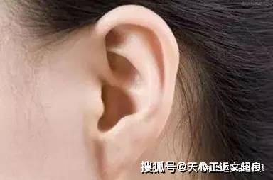 面相:耳朵形状能看财运吗?