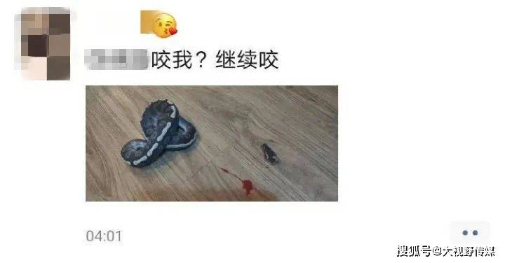 男子凌晨玩蛇被咬,竟剪掉蛇头发朋友圈炫耀!结果…悲剧了