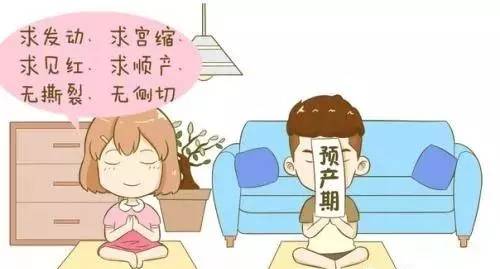 试管预产期不知道怎么算?最全预产期计算干货