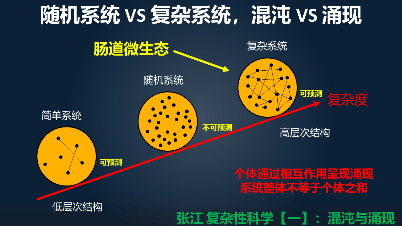 朱瑞新|朱瑞新：12分钟讲透如何迈向因果并精准干预菌群