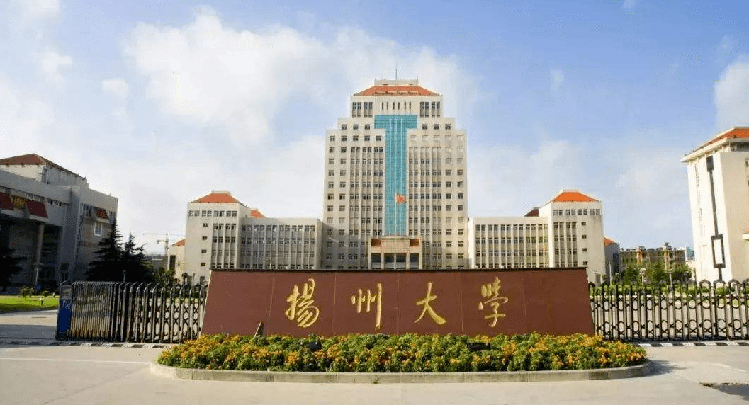 扬州大学2020年校友_扬州大学美术学、学科教学(美术)、艺术设计2020考研