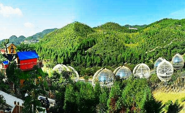 2020年世界避暑城市_我市入选新华大数据2020避暑城市榜单(2)