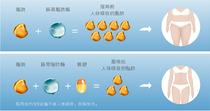 减肥期间减掉20斤脂肪需要多久?