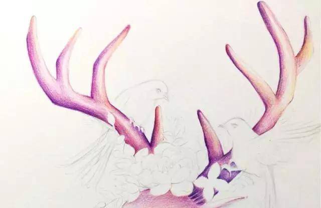 【推荐】彩铅手绘动物教程图解|彩铅笔画教程步骤图解