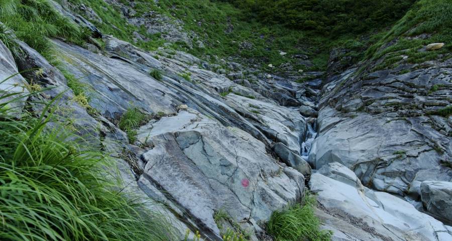 家电企业为何从分道扬镳走到志同道合？-家电圈官网