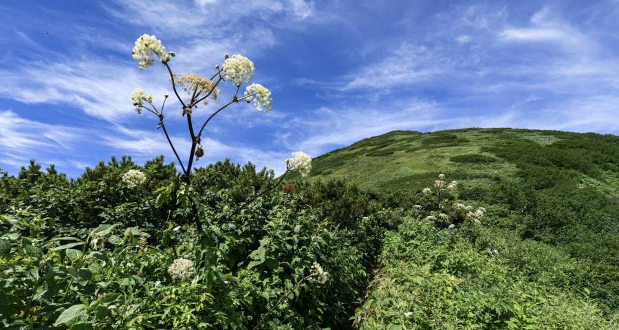 家电降价促销失灵起风波,海尔小米海信三星创维为梦起航!-家电圈官网