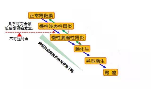 中低收入|乙肝NCDs模型研究，中低收入感染致病，高于年龄饮食结构因素