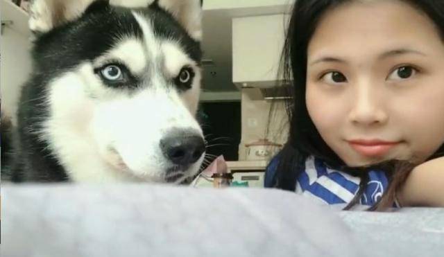 军事 美食 文化 星座 专题 游戏 搞笑 动漫 宠物 登录 可爱的小萌宠