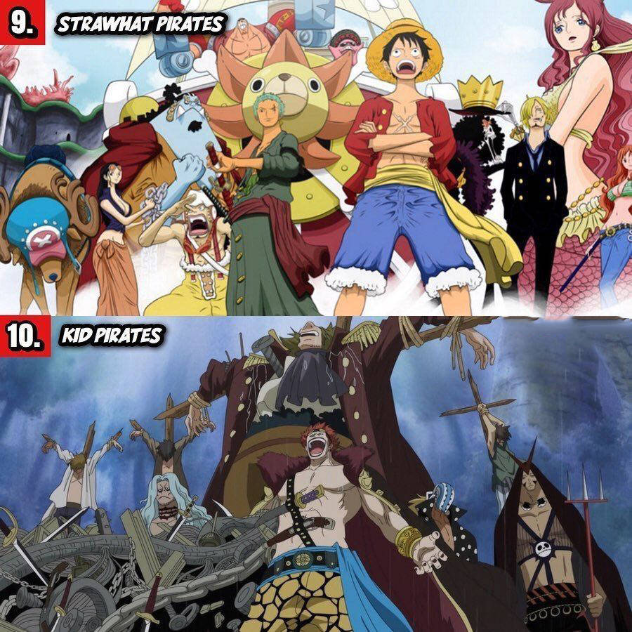 海贼团排名_草帽海贼团