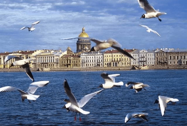 圣彼得堡的gdp和美元_最美的季节去看你 俄罗斯圣彼得堡旅游攻略