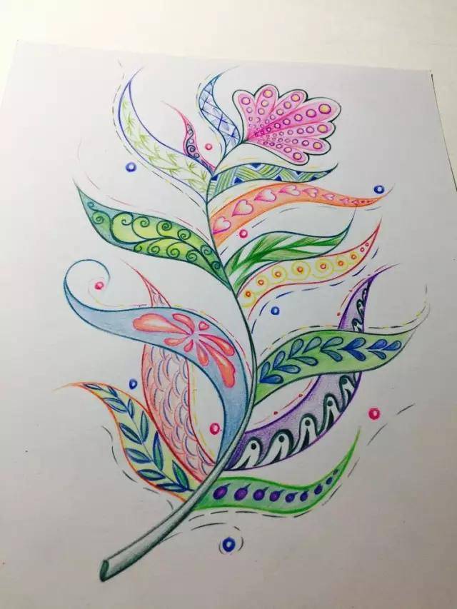 【全套】彩色铅笔画教程视频画花朵|彩色铅笔画 手绘教程视频!