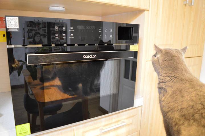 家用烤箱买哪一款实用最新 6228fede81ef4d5fb383d6dd48a6782b.jpeg