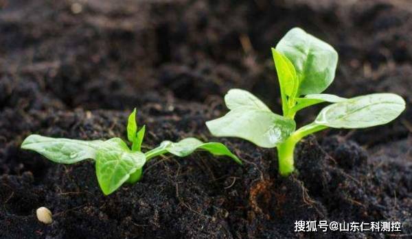 土壤墒情监测系统