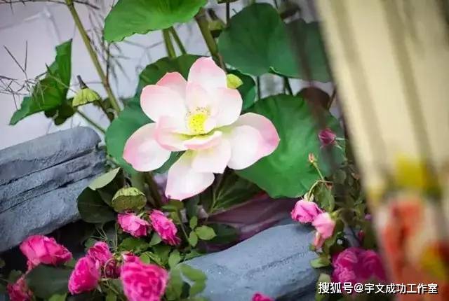 人生最难的是什么？