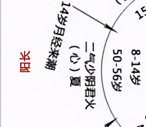 脾什么运成语_成语故事简笔画(2)
