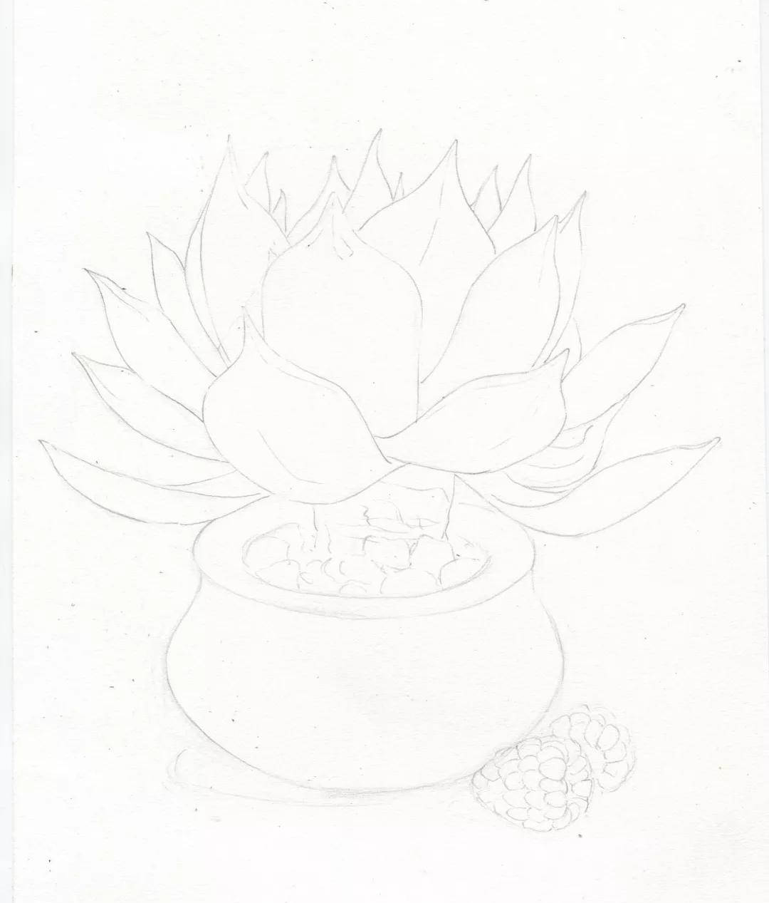 【推荐】成人学彩铅笔绘画|彩色铅笔绘画教程视频(附彩铅全套视频教程