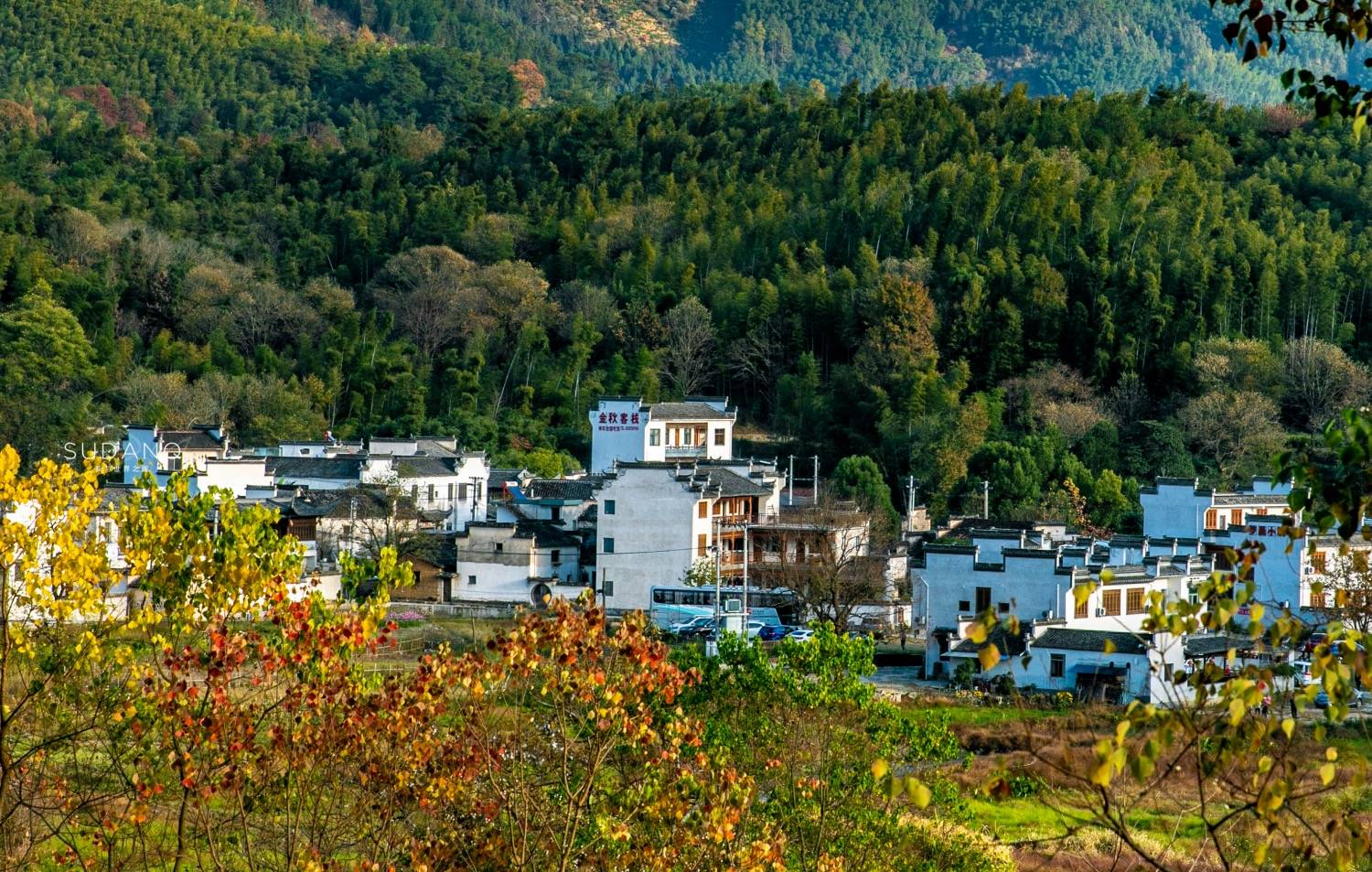 安徽这个小山村，被誉为“中国四大最美秋色”之一，历史将近千年_村落