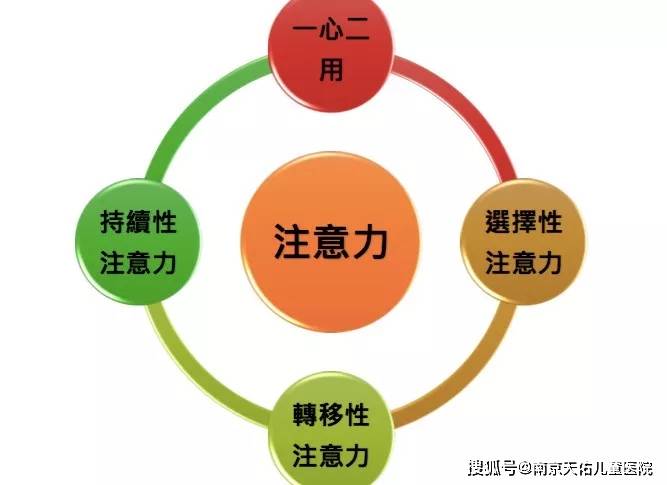 发育迟缓医院排名_语言发育迟缓图片(3)