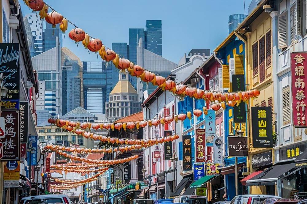 新加坡大多数是华人，但是为何独立后立刻废除了汉语？