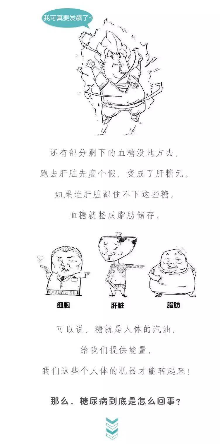 d413bc99d52947f79da4c1b0697defaf.jpeg