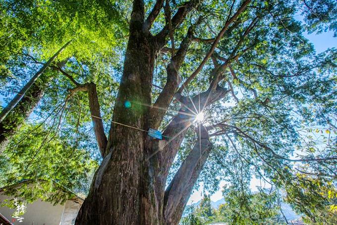 安徽休宁有一座高山中的古村落，远离闹市，已有2000多年的历史