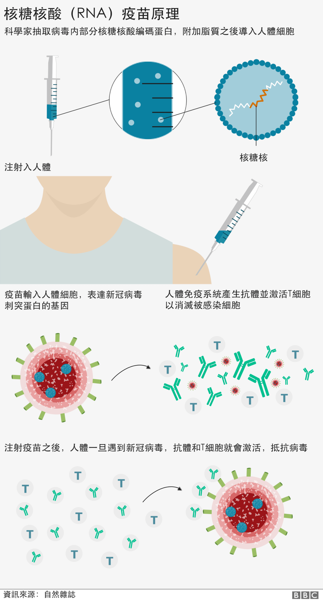成语义什么妇_等什么君(3)