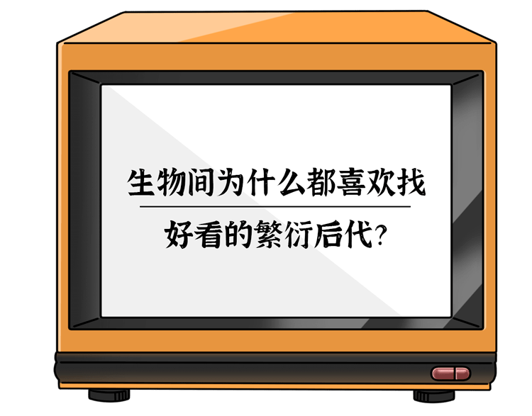 男人|为什么男人更喜欢漂亮的女人？科学解释：“好色”不是男人的错