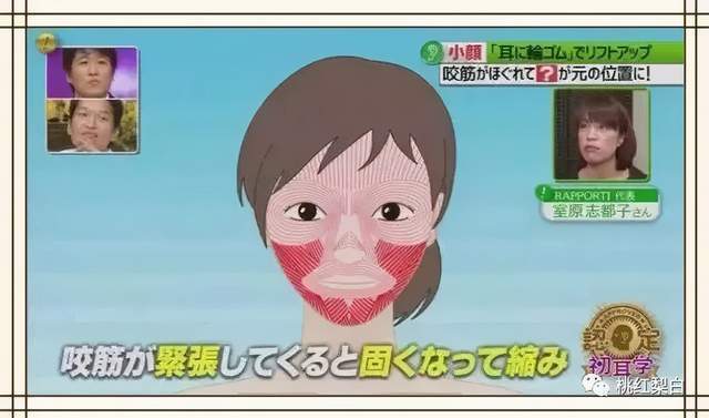 身体|发福到不敢认？辛芷蕾自己都看乐了