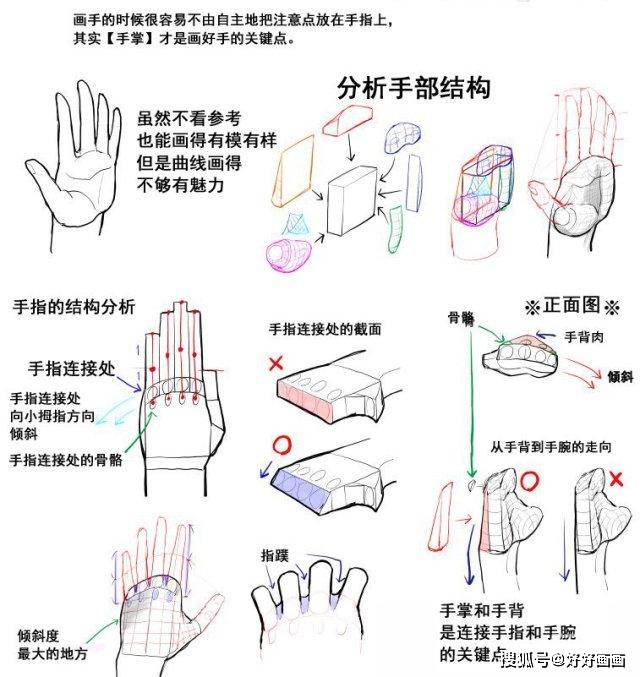 最后是进阶训练!从手指体块到手指结构肌肉