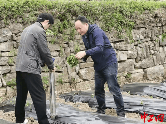什么才算贫困劳动力 3019ebdc23104d80b0051f83ae977ece.png