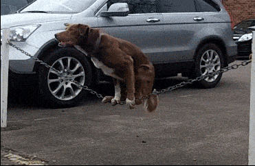 疼,疼,你个憨货 展开剩余 56 % 5熊孩子这是想上天的节奏啊 搞笑段子