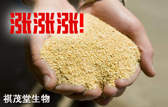 三月三十号玉米价格 a6669f54e758475f9e9a5bf3c39f1f7c.jpeg