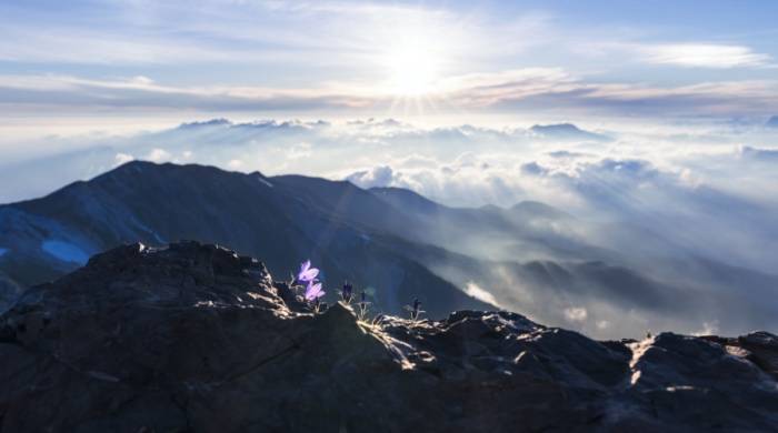 云米的全屋互联网家电，为何迟迟没有引爆消费潮？-家电圈官网