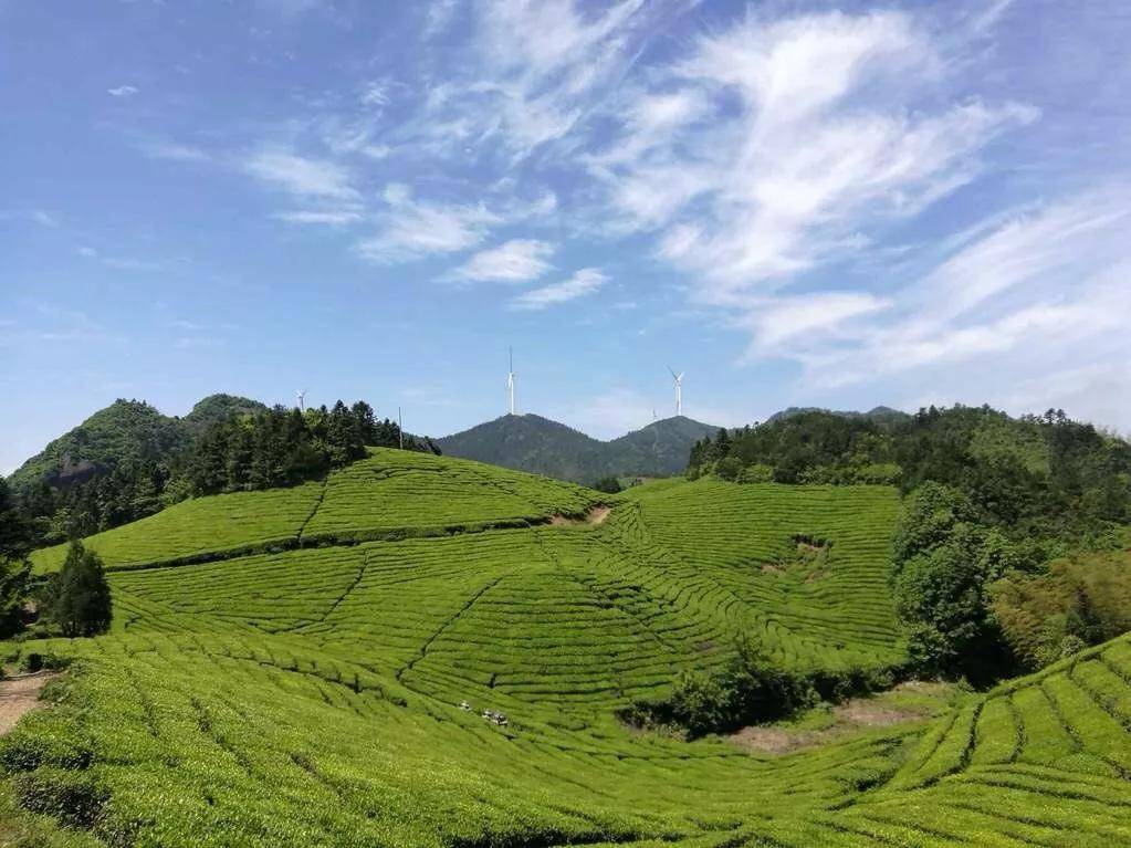 永康唐先,浦江杭坪,磐安玉山…都入选了!