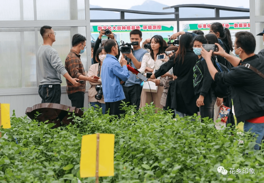 横县2020年经济总量_03年横县高档的酒吧