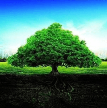 fd70022556304d979cd3c06201ed71bc.png