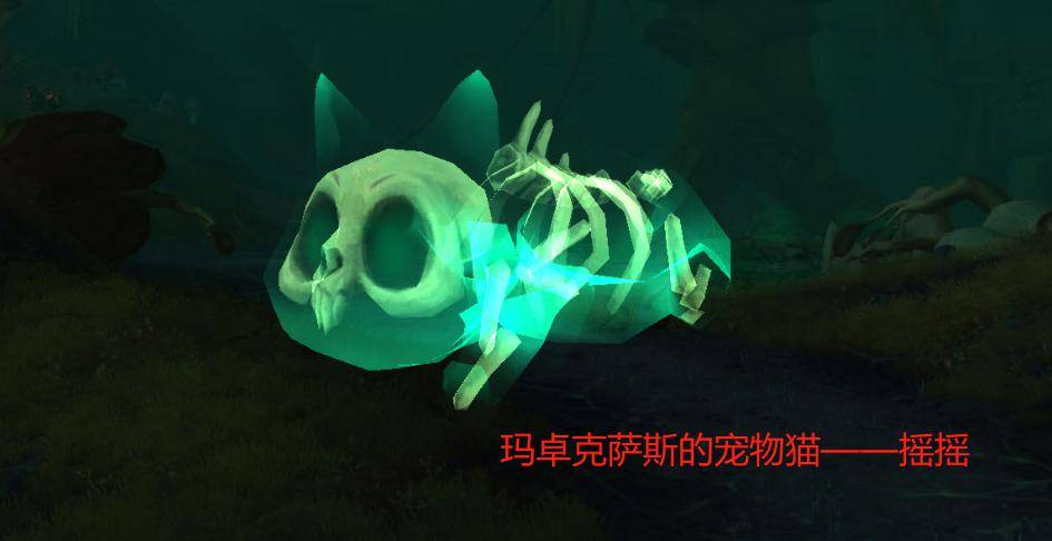 盟约|魔兽世界：暴雪美工重回巅峰，9.0宠物系统要爆火，还可能进化？