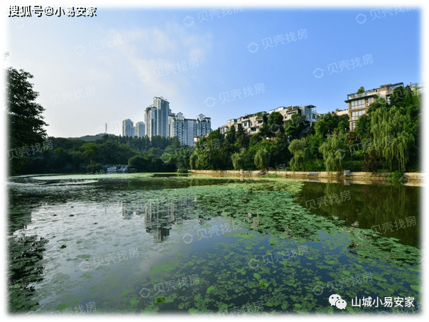 两江新区照母山金科总部旁!金科天湖美镇,一个自带公园的小区!-搜狐大视野-搜狐新闻