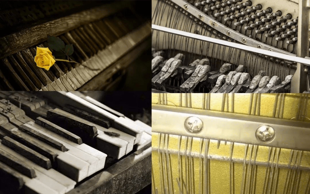 威尔德曼钢琴百年历史经典传承,教您夏天钢琴保养技巧