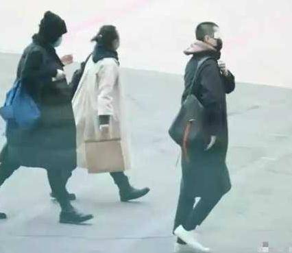 王菲返京当天谢霆锋带猫离开,知名娱记再发声:两人已分手