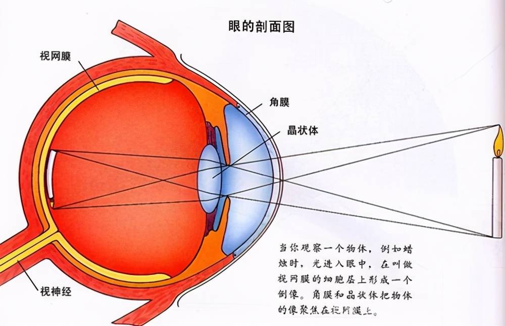 影响世界的重要实验:小孔成像,眼睛成像原理_手机搜狐网