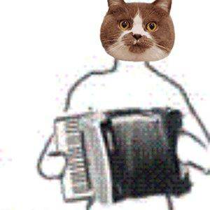 猫的视野距离 47dfcfc709ef487cb17f5ef9c73275fc.jpeg