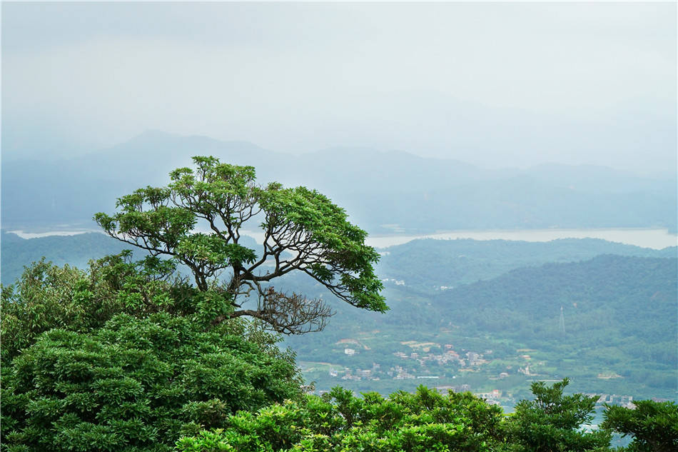 粤东行:惠州,罗浮山,岭南名山之首过度开发煞风景