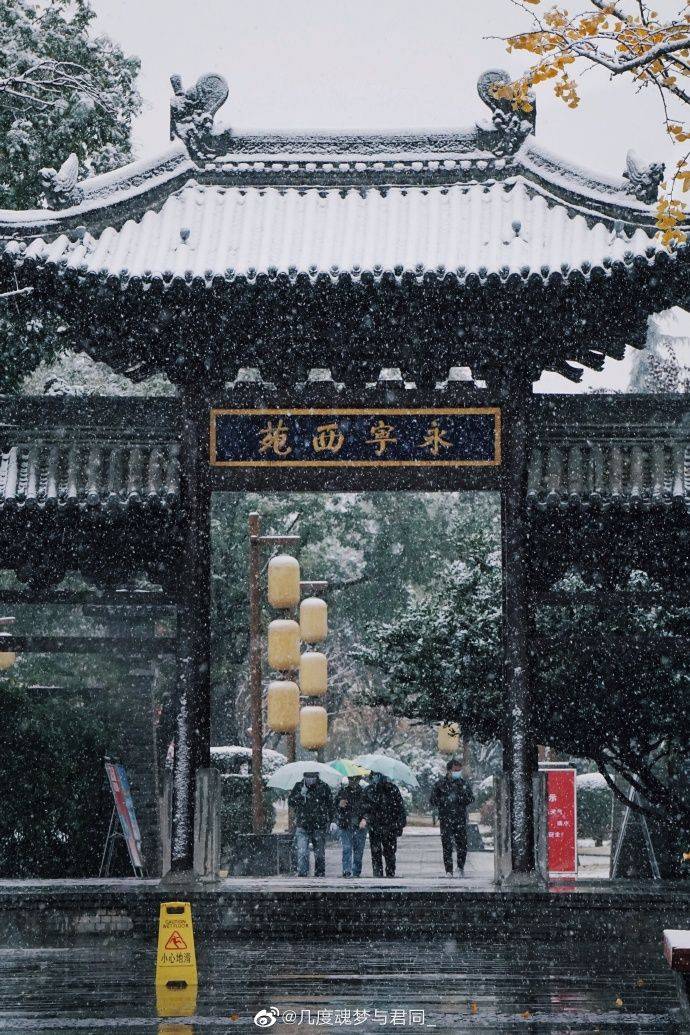 西安雪景美图雪是写给人间的诗唐三藏我冷