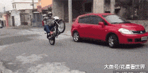 原创搞笑gif段子:小伙子,你的犀牛角不错,是哪个发型师设计的