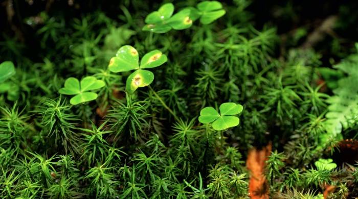 兴趣消费兴起，消费原力爆棚，家电业注意到没？-家电圈官网