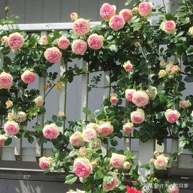 c65d17020cc64e2fb992807589d06c45.jpeg